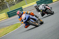 Middle Group Blue Bikes